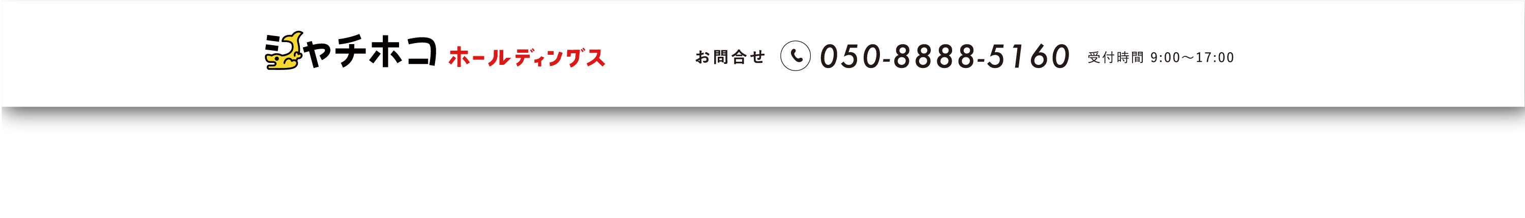 シャチホコホールディングス